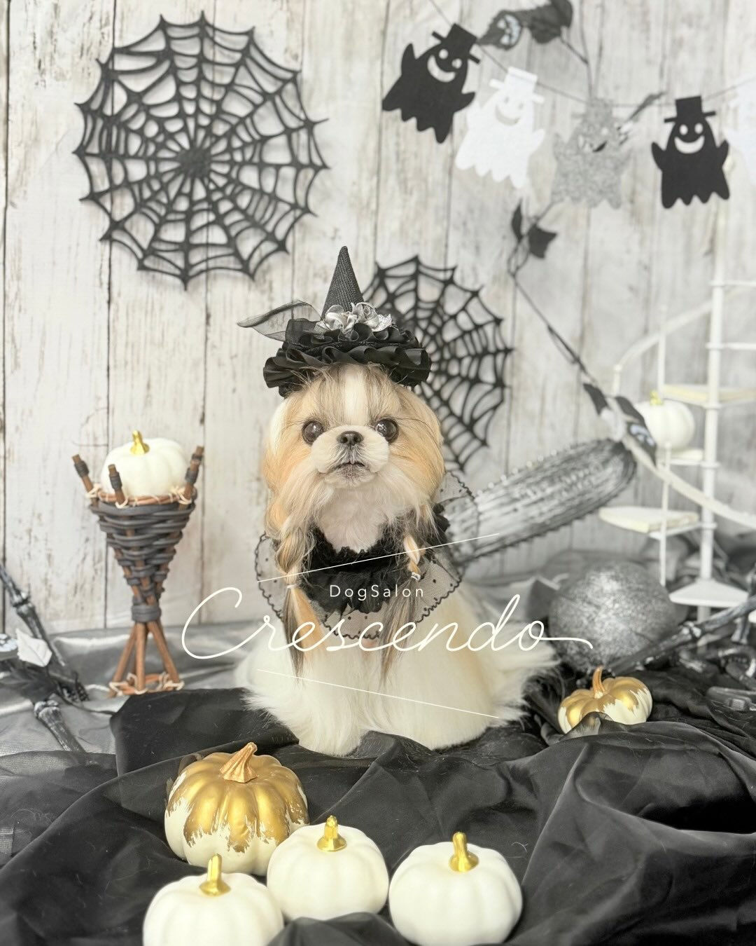 ハロウィン仕様にブース変更🎃