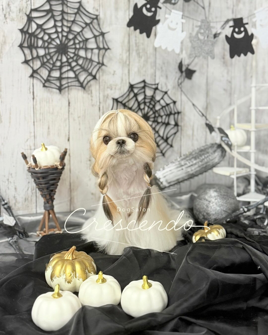 ハロウィン仕様にブース変更🎃