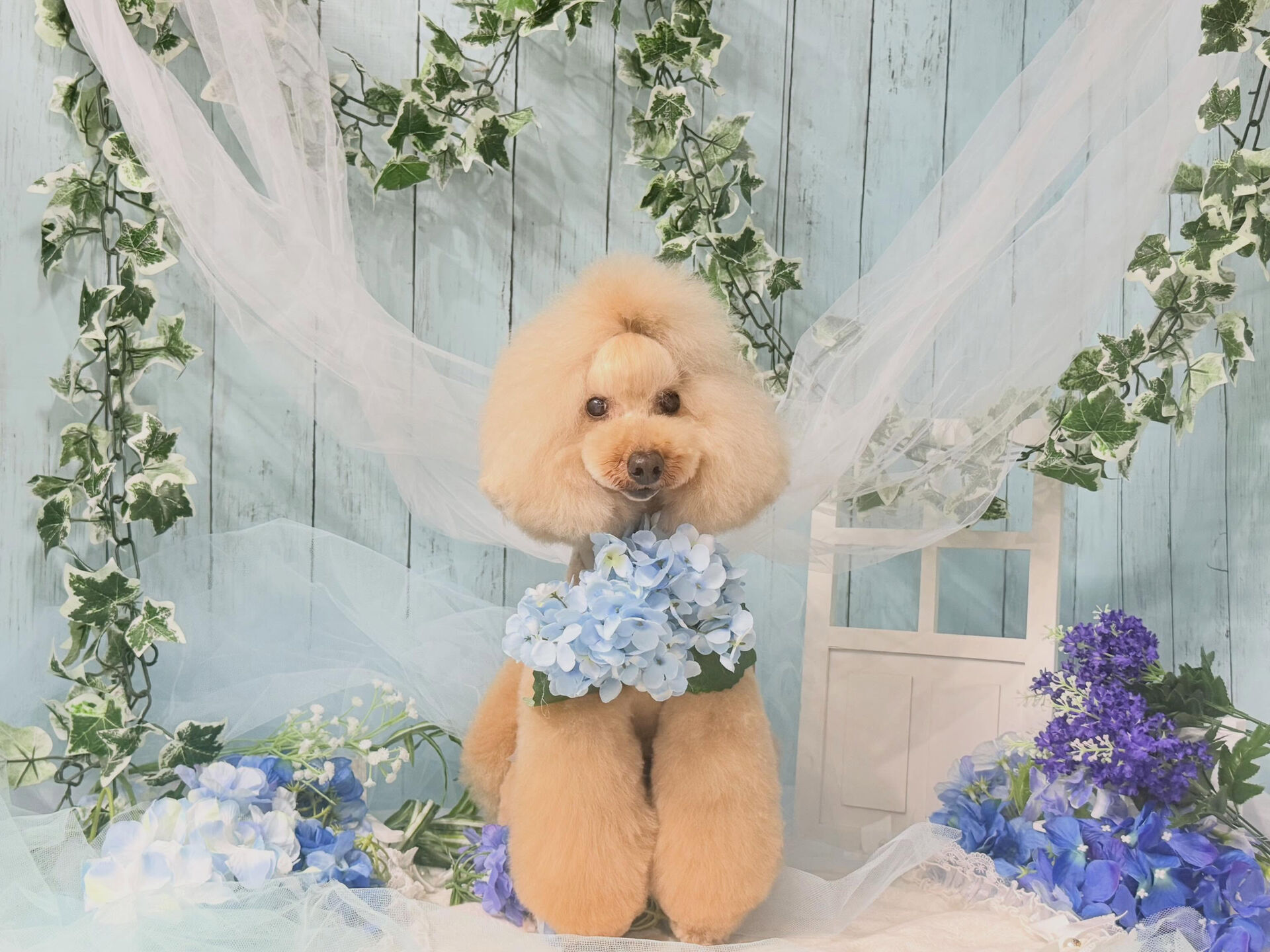 オシャレボーイ✨