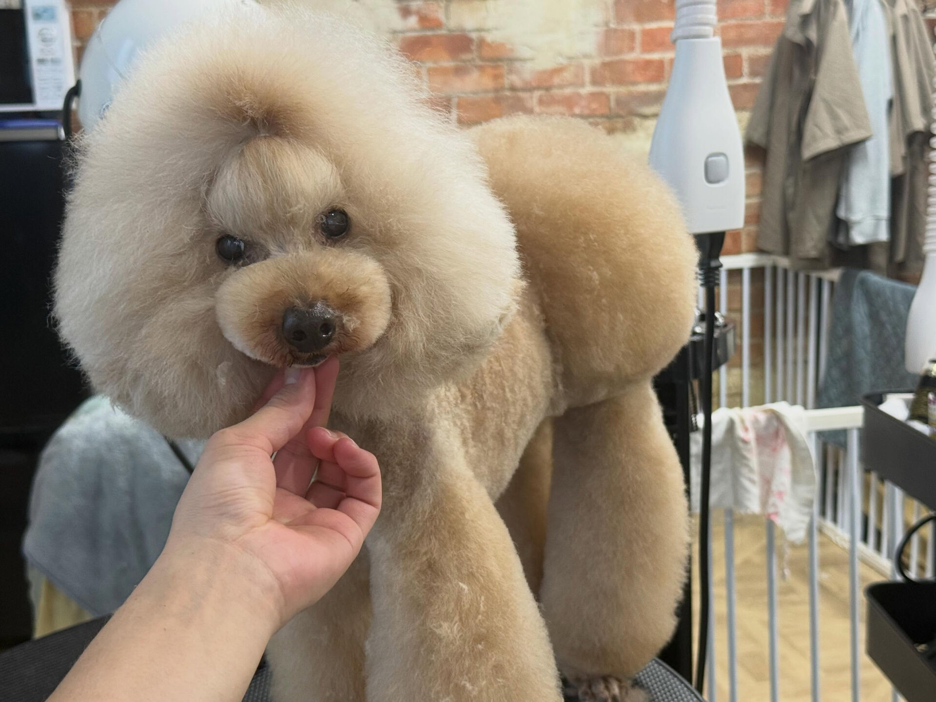 オシャレボーイ✨
