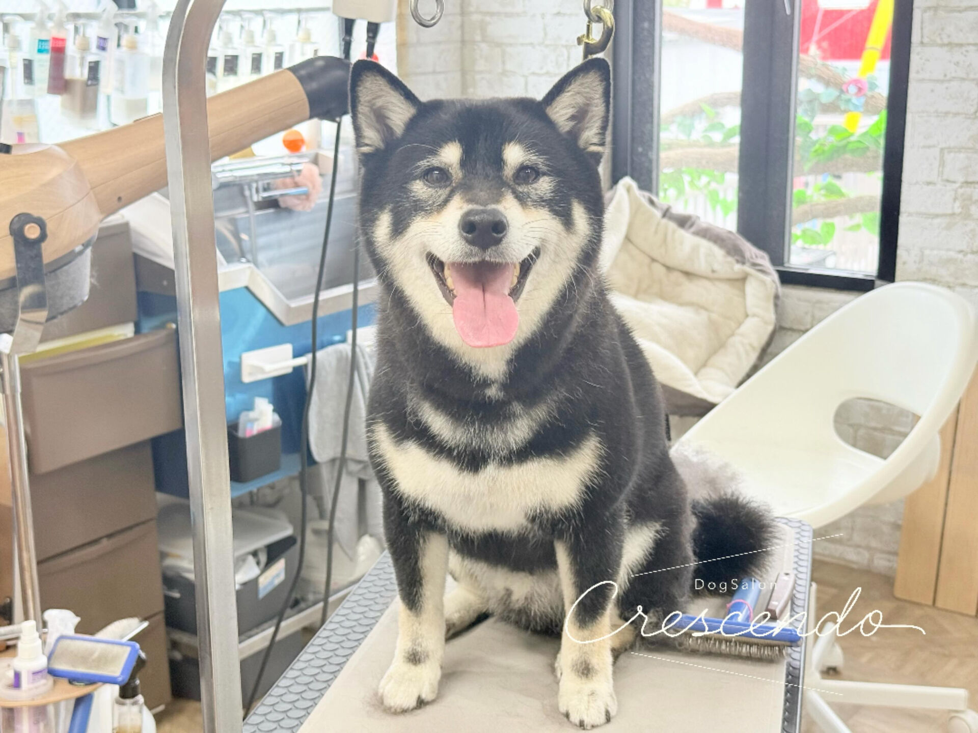 にこにこビッグスマイル☺️