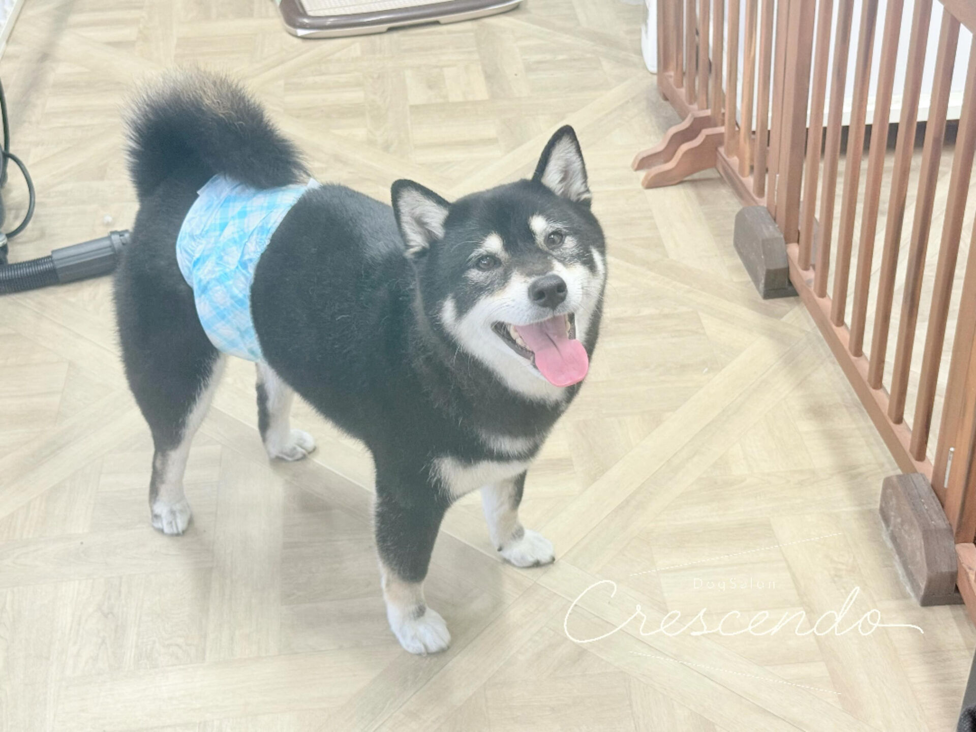 にこにこビッグスマイル☺️