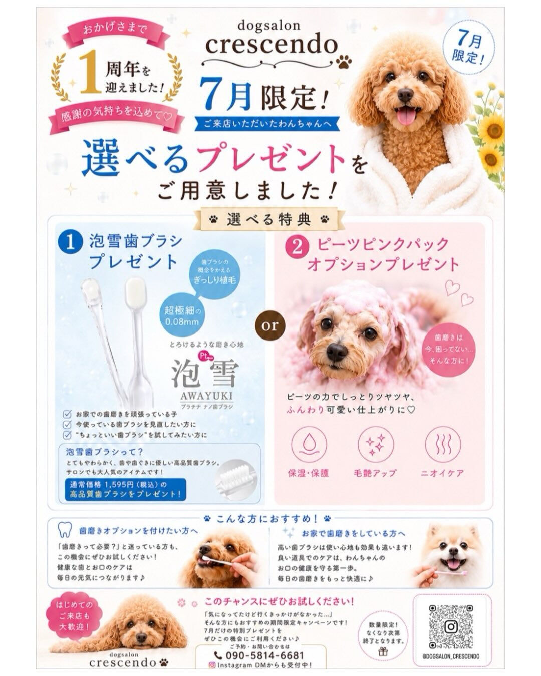 いつもDogSalon Crescendoをご利用いただき