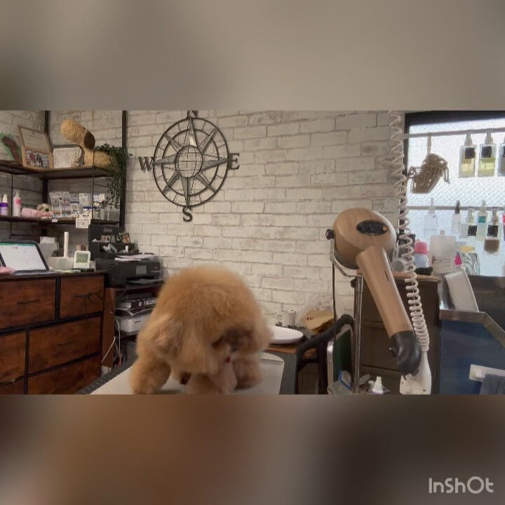 カット練習