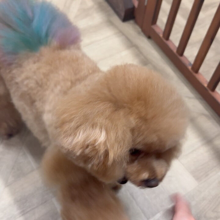 カット練習