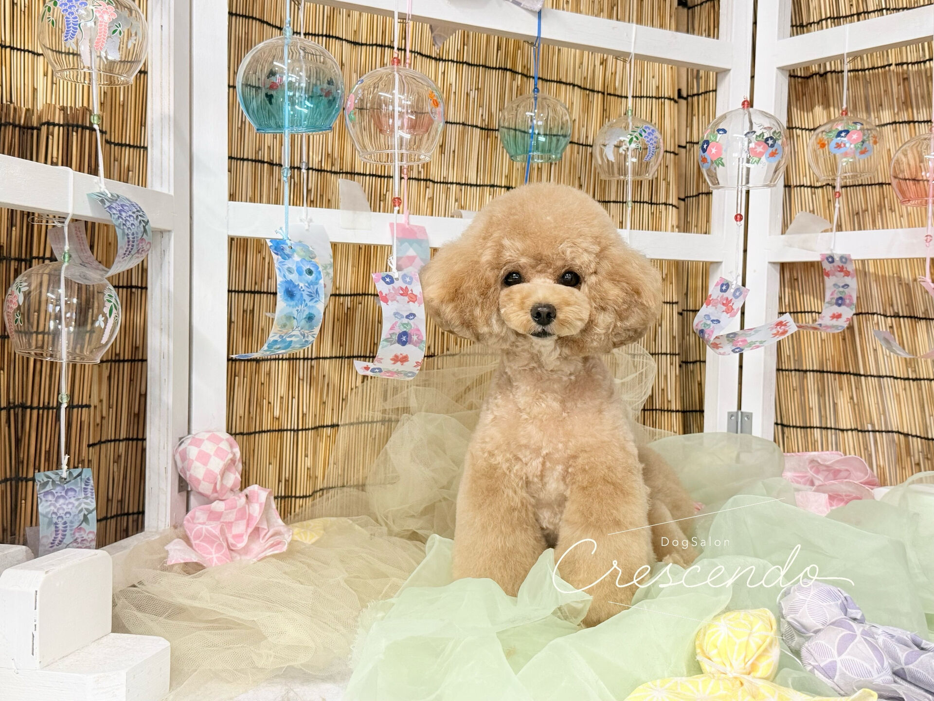 店のなかを