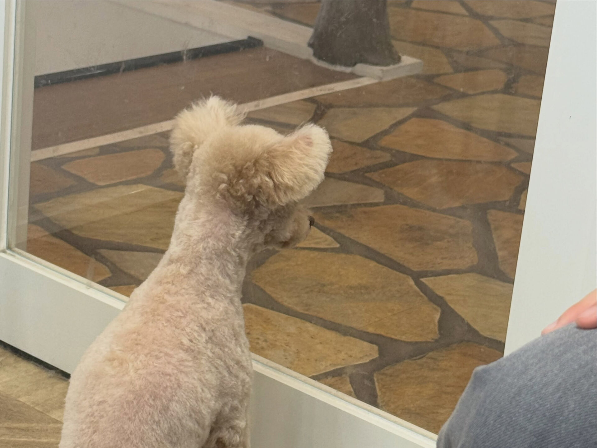 むかーしのいっくんカットに戻して懐かしさを感じております☺️