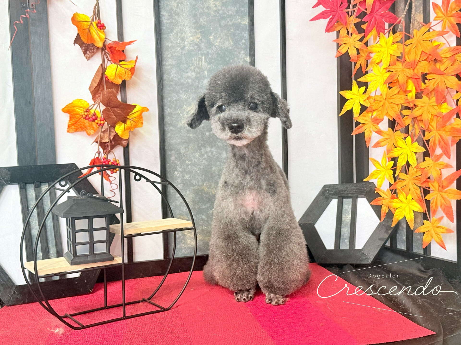 いつも遠方からありがとうございます✨️