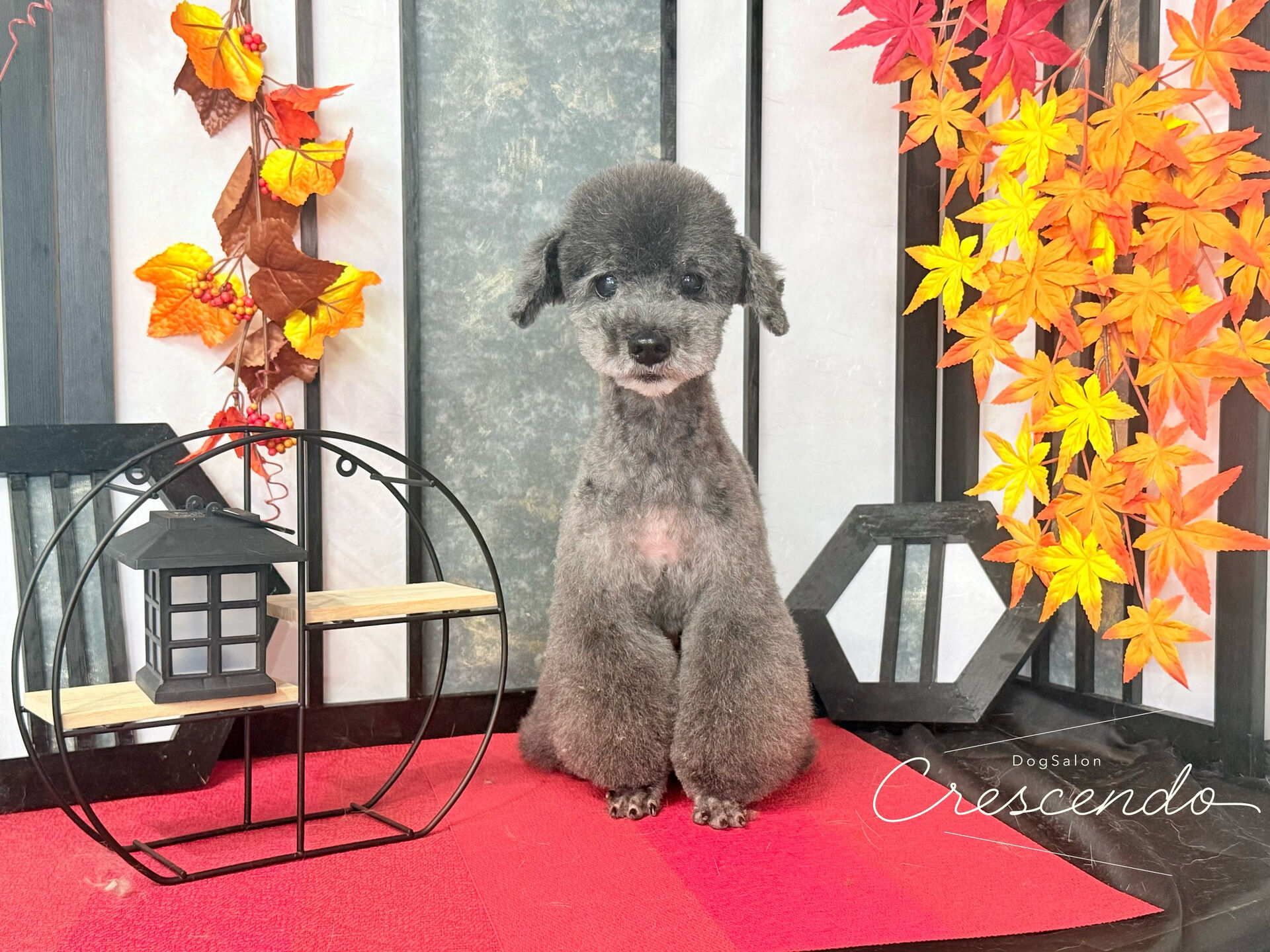 いつも遠方からありがとうございます✨️