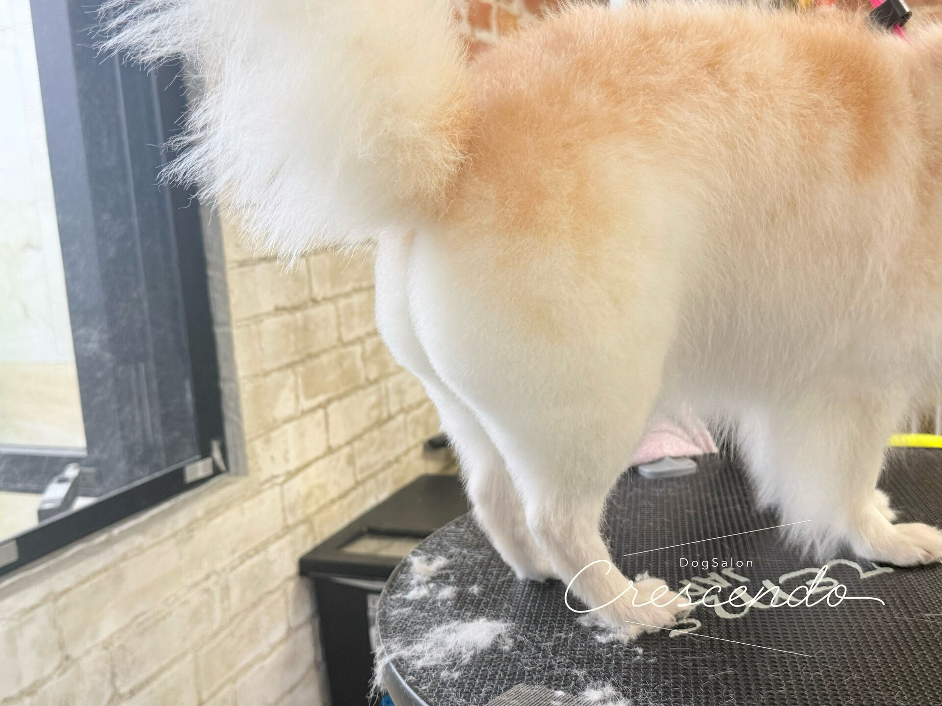 いつもご指名ありがとうございます😊