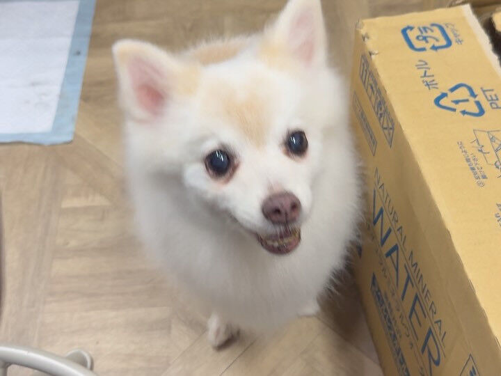 いつもご指名ありがとうございます😊