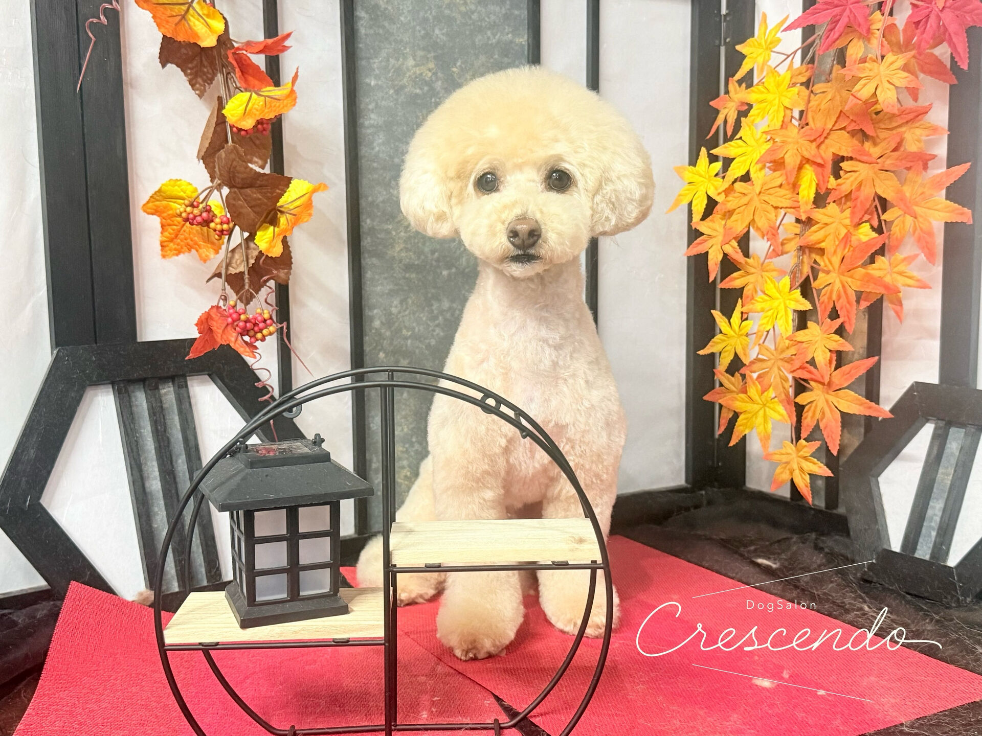 交番に入ってみたり、出てみたり、