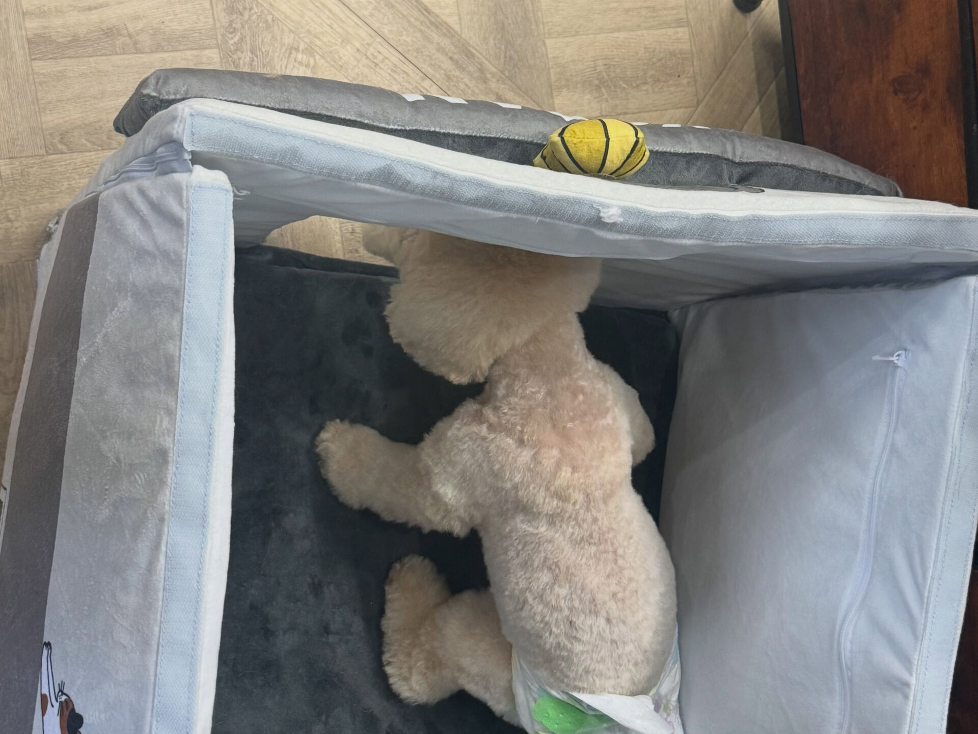 交番に入ってみたり、出てみたり、