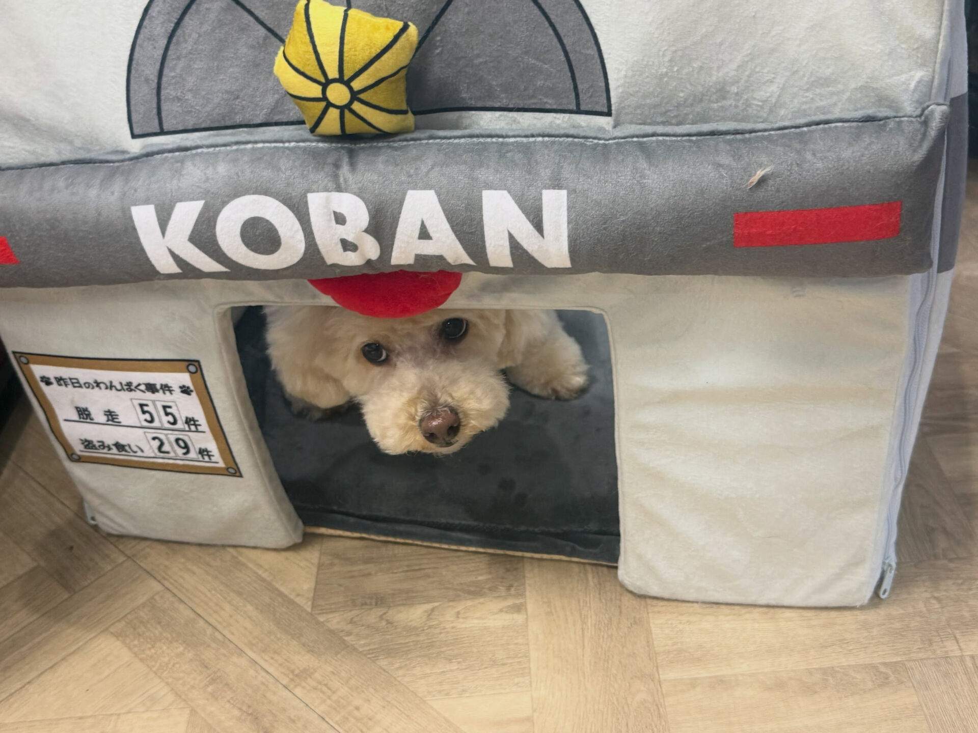 交番に入ってみたり、出てみたり、