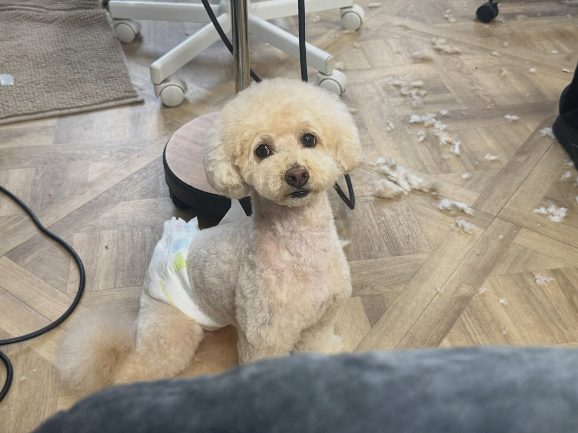 交番に入ってみたり、出てみたり、