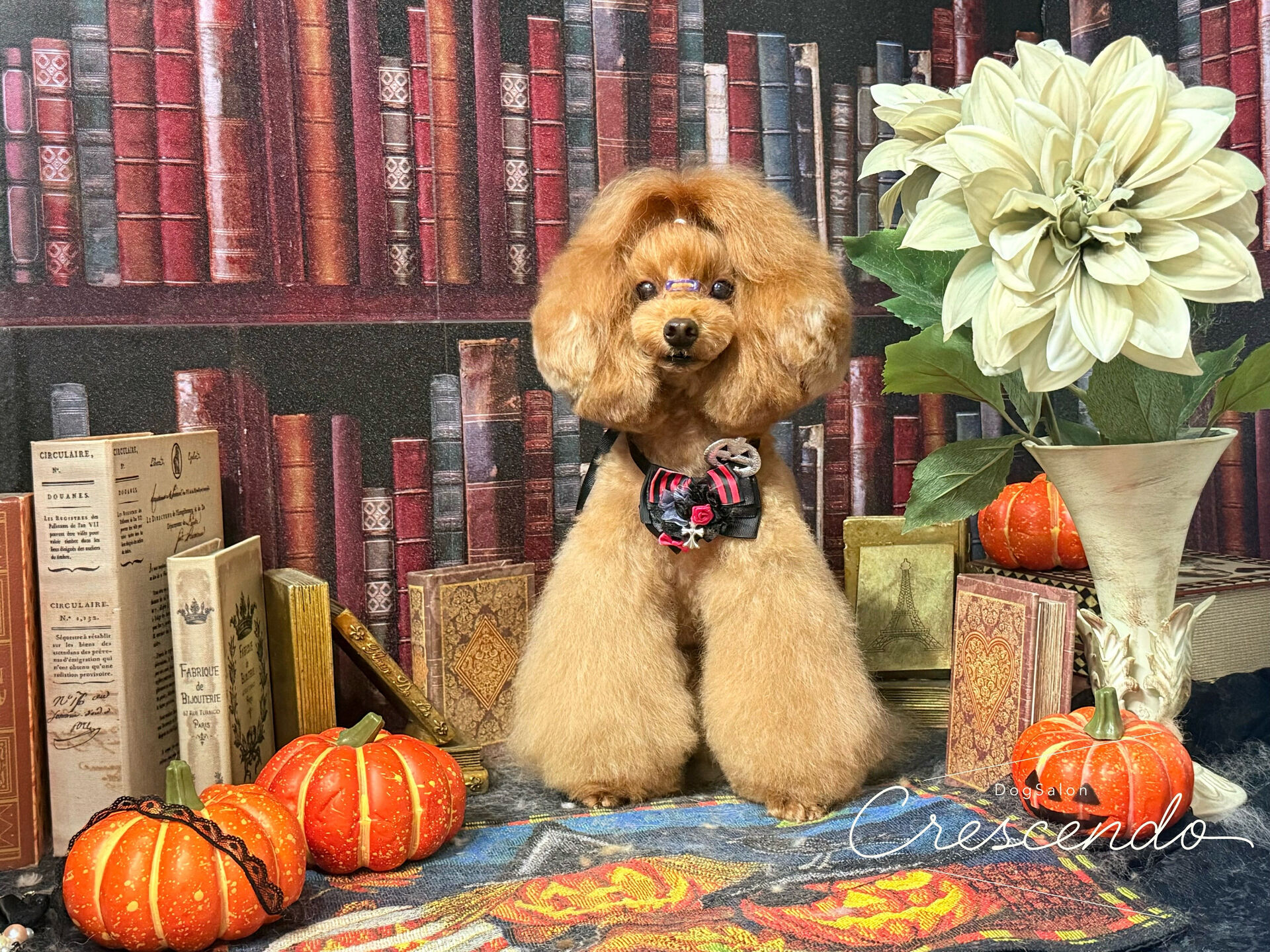 ゴージャス感満載ですね🎃