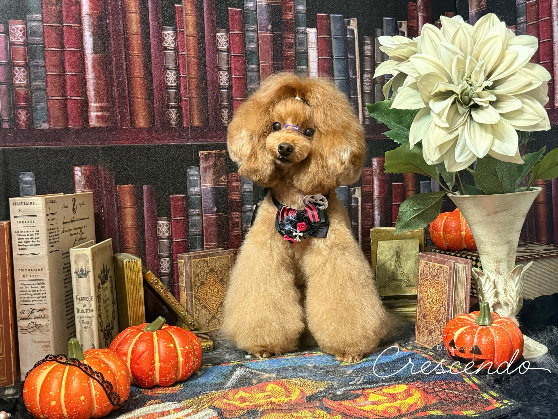 ゴージャス感満載ですね🎃